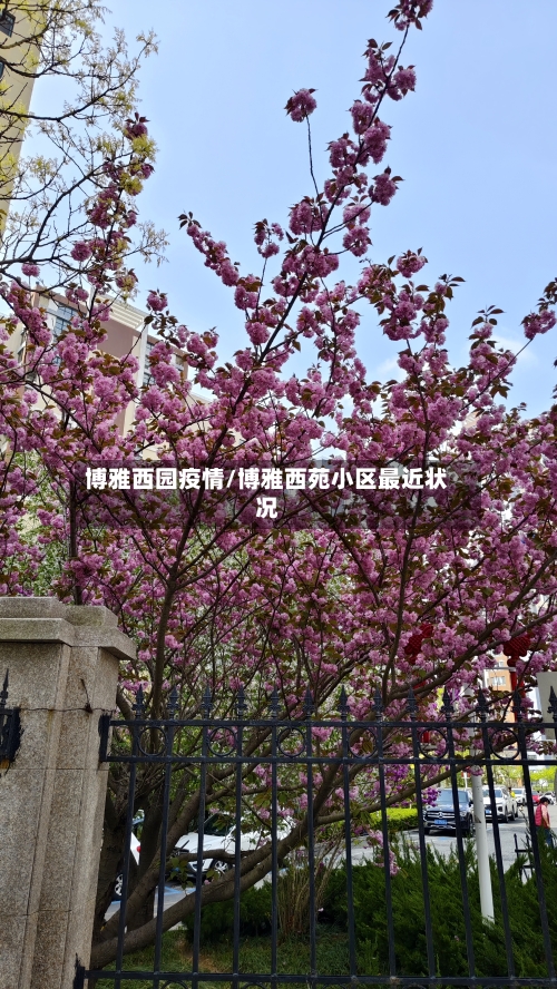 博雅西园疫情/博雅西苑小区最近状况-第2张图片