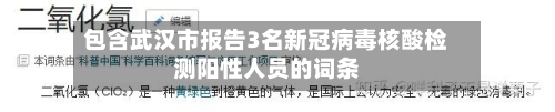 包含武汉市报告3名新冠病毒核酸检测阳性人员的词条