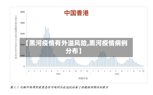 【黑河疫情有外溢风险,黑河疫情病例分布】
