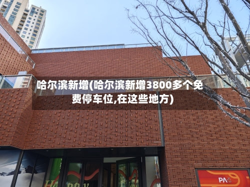 哈尔滨新增(哈尔滨新增3800多个免费停车位,在这些地方)