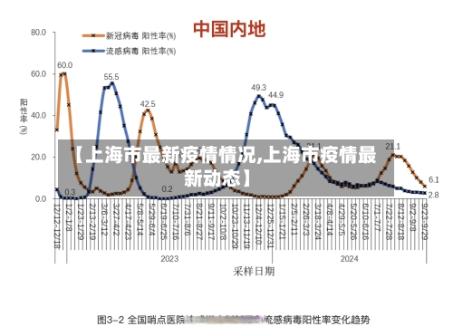 【上海市最新疫情情况,上海市疫情最新动态】-第2张图片