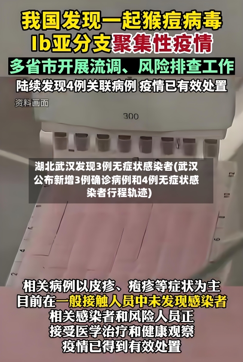 湖北武汉发现3例无症状感染者(武汉公布新增3例确诊病例和4例无症状感染者行程轨迹)-第2张图片