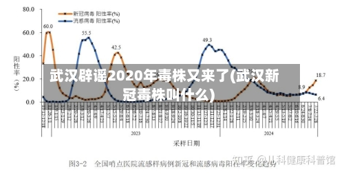 武汉辟谣2020年毒株又来了(武汉新冠毒株叫什么)-第2张图片