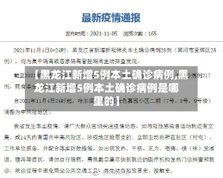 【黑龙江新增5例本土确诊病例,黑龙江新增5例本土确诊病例是哪里的】-第2张图片