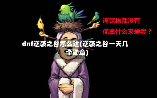 dnf逆袭之谷怎么进(逆袭之谷一天几个勋章)
