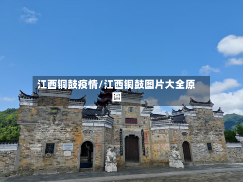 江西铜鼓疫情/江西铜鼓图片大全原图-第3张图片