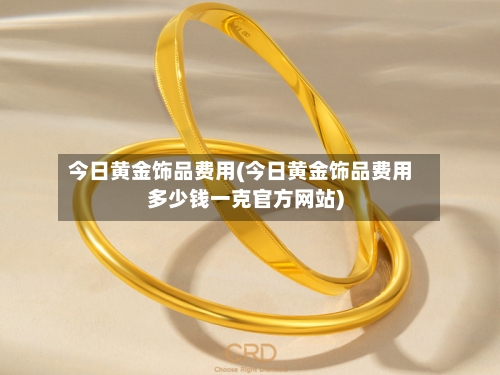 今日黄金饰品费用(今日黄金饰品费用多少钱一克官方网站)-第2张图片