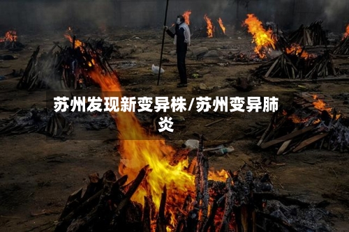 苏州发现新变异株/苏州变异肺炎-第3张图片