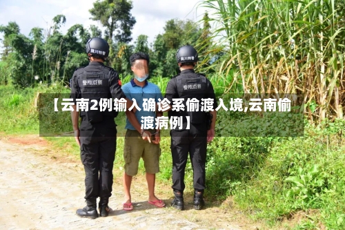 【云南2例输入确诊系偷渡入境,云南偷渡病例】