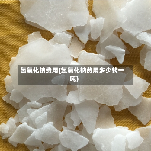 氢氧化钠费用(氢氧化钠费用多少钱一吨)