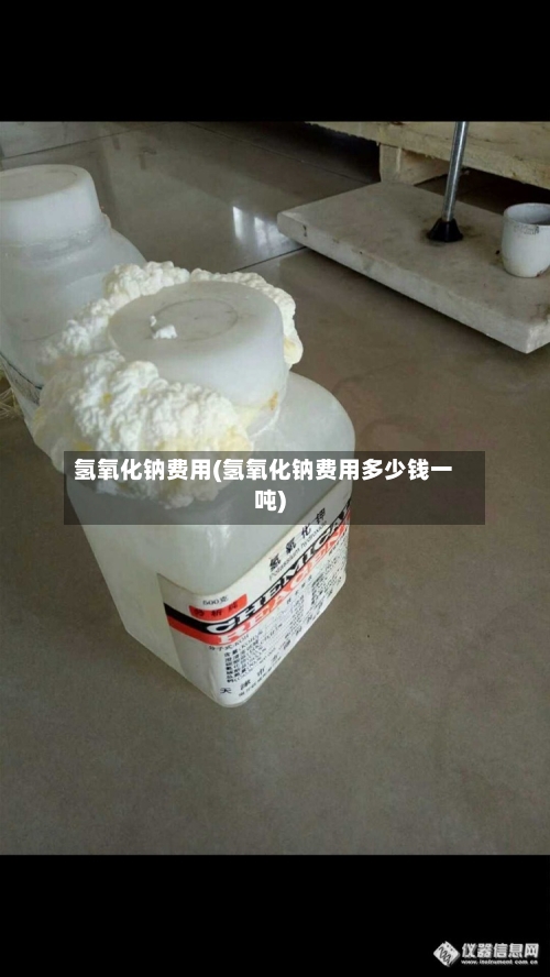 氢氧化钠费用(氢氧化钠费用多少钱一吨)-第3张图片
