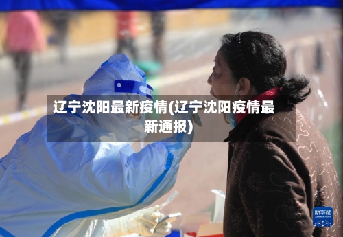 辽宁沈阳最新疫情(辽宁沈阳疫情最新通报)-第2张图片