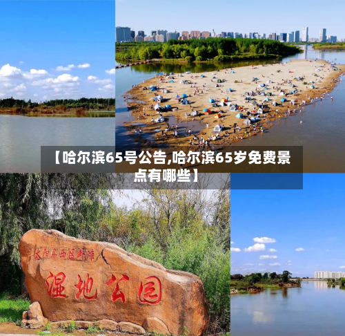 【哈尔滨65号公告,哈尔滨65岁免费景点有哪些】