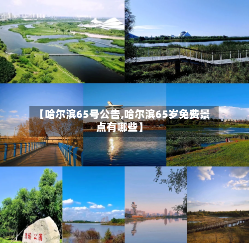 【哈尔滨65号公告,哈尔滨65岁免费景点有哪些】-第2张图片