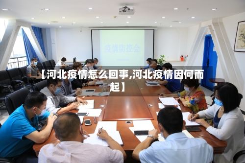 【河北疫情怎么回事,河北疫情因何而起】-第3张图片