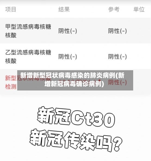 新增新型冠状病毒感染的肺炎病例(新增新冠病毒确诊病例)