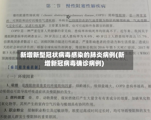 新增新型冠状病毒感染的肺炎病例(新增新冠病毒确诊病例)-第2张图片