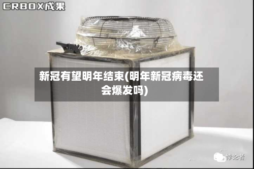 新冠有望明年结束(明年新冠病毒还会爆发吗)-第3张图片