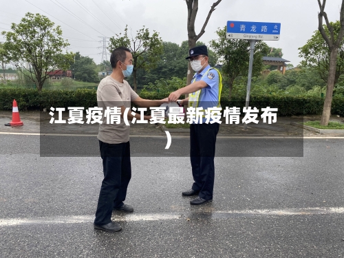 江夏疫情(江夏最新疫情发布)