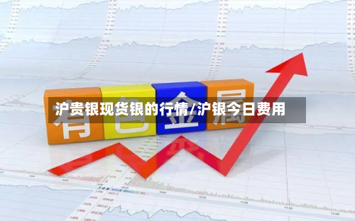 沪贵银现货银的行情/沪银今日费用-第3张图片