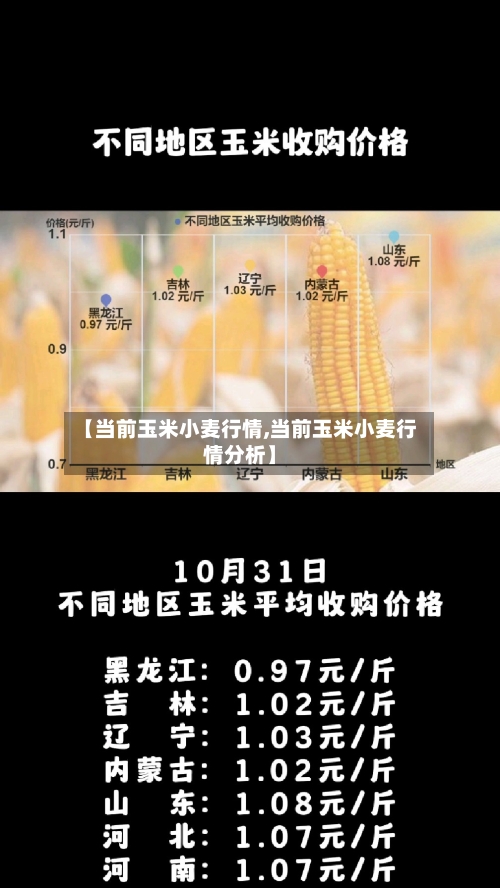 【当前玉米小麦行情,当前玉米小麦行情分析】-第2张图片