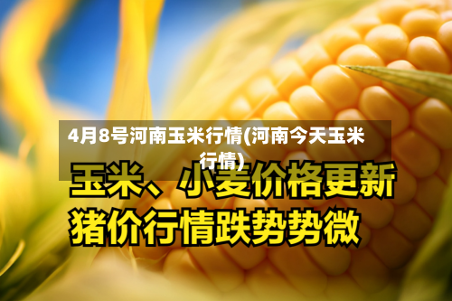 4月8号河南玉米行情(河南今天玉米行情)-第3张图片