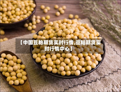【中国豆粕期货实时行情,豆粕期货实时行情中心】-第3张图片