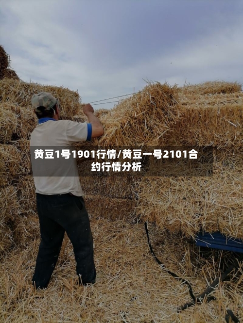 黄豆1号1901行情/黄豆一号2101合约行情分析