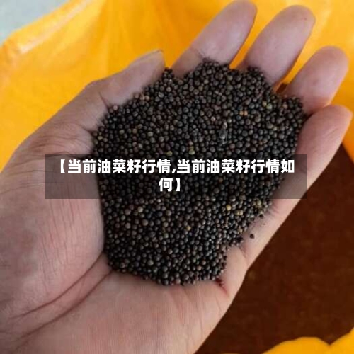 【当前油菜籽行情,当前油菜籽行情如何】