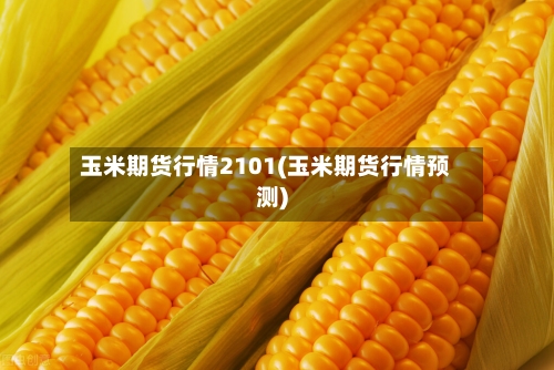 玉米期货行情2101(玉米期货行情预测)