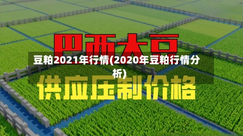 豆粕2021年行情(2020年豆粕行情分析)
