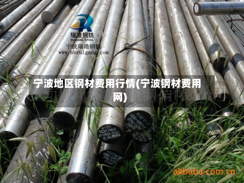 宁波地区钢材费用行情(宁波钢材费用网)