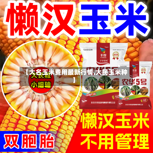【大名玉米费用最新行情,大民玉米种】-第2张图片