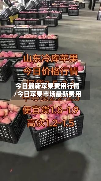 今日最新苹果费用行情/今日苹果市场最新费用-第2张图片