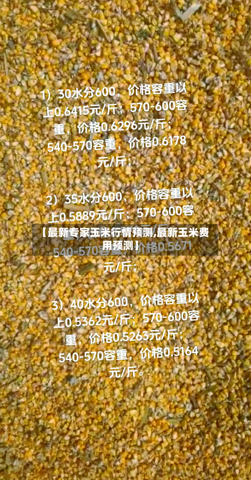 【最新专家玉米行情预测,最新玉米费用预测】