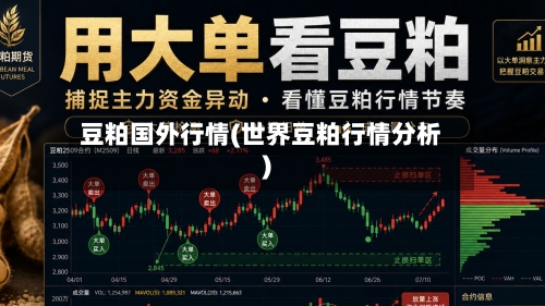 豆粕国外行情(世界豆粕行情分析)