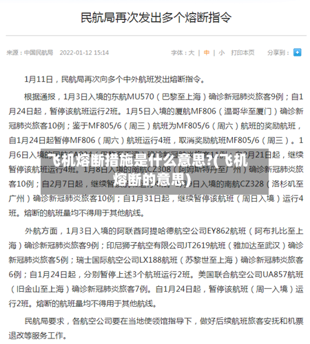 飞机熔断措施是什么意思?(飞机熔断的意思)