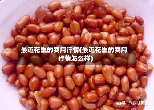 最近花生的费用行情(最近花生的费用行情怎么样)-第2张图片