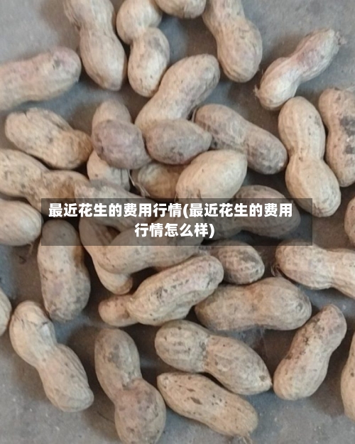 最近花生的费用行情(最近花生的费用行情怎么样)-第3张图片