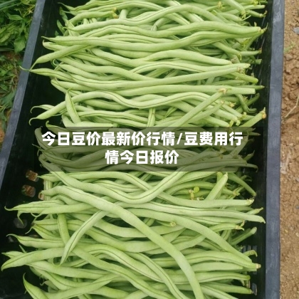今日豆价最新价行情/豆费用行情今日报价-第2张图片