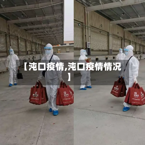 【沌口疫情,沌口疫情情况】