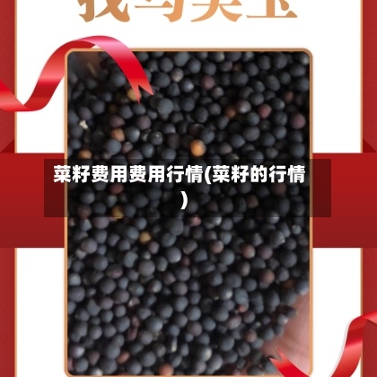 菜籽费用费用行情(菜籽的行情)