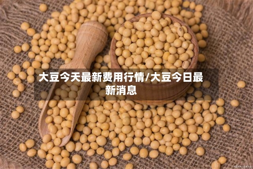 大豆今天最新费用行情/大豆今日最新消息-第2张图片