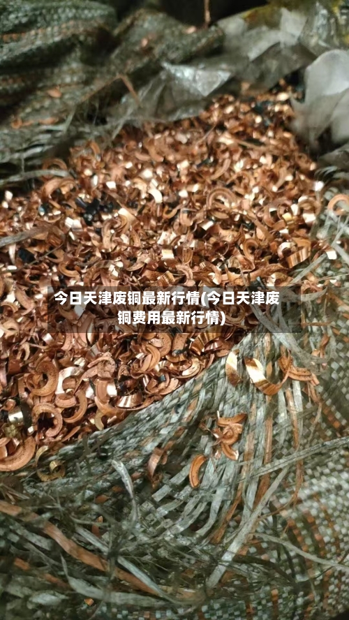今日天津废铜最新行情(今日天津废铜费用最新行情)-第2张图片