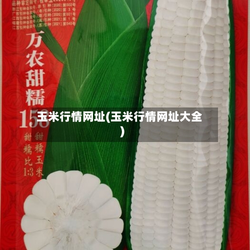 玉米行情网址(玉米行情网址大全)-第3张图片