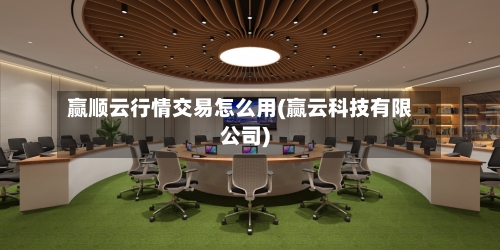 赢顺云行情交易怎么用(赢云科技有限公司)-第3张图片