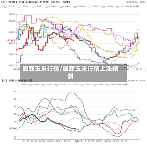 最新玉米行情/最新玉米行情上涨预测