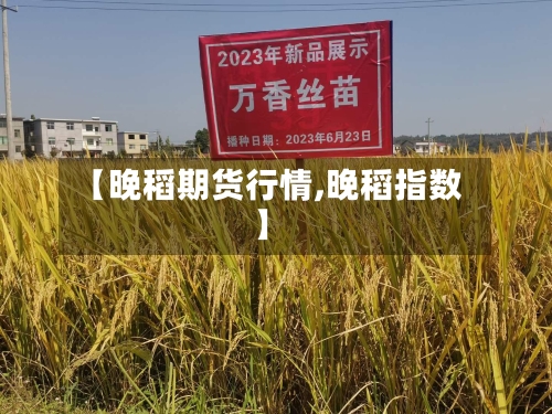 【晚稻期货行情,晚稻指数】