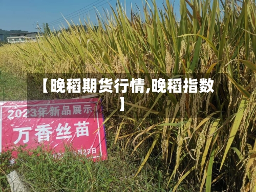 【晚稻期货行情,晚稻指数】-第2张图片
