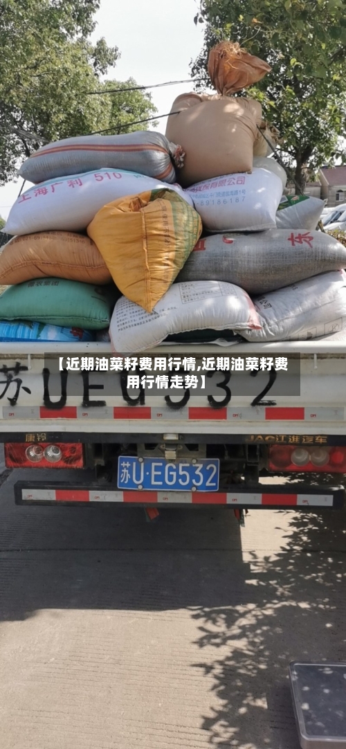 【近期油菜籽费用行情,近期油菜籽费用行情走势】-第2张图片